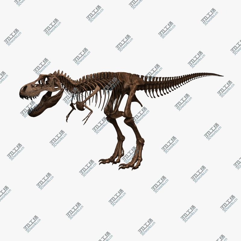 images/goods_img/202105071/T-rex Skeleton/3.jpg